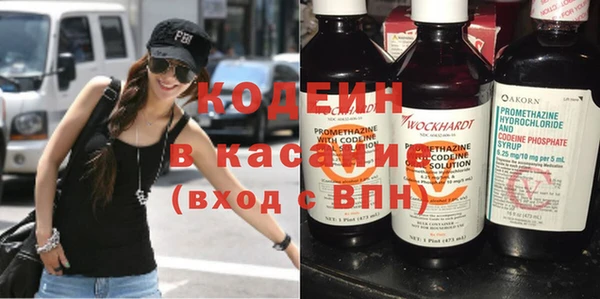 таблы Бородино