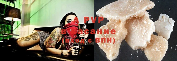 таблы Бородино