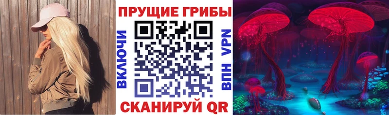 мега ССЫЛКА  Старица  Псилоцибиновые грибы прущие грибы 