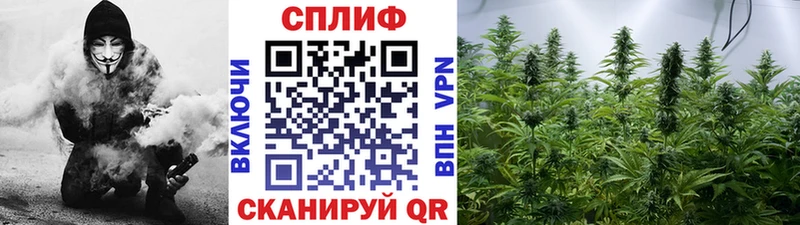 mega зеркало  купить   дарк нет наркотические препараты  Каннабис Ganja  Старица 
